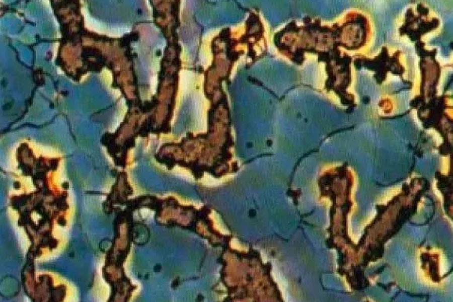 El control del proceso de producción de hierro vermicular