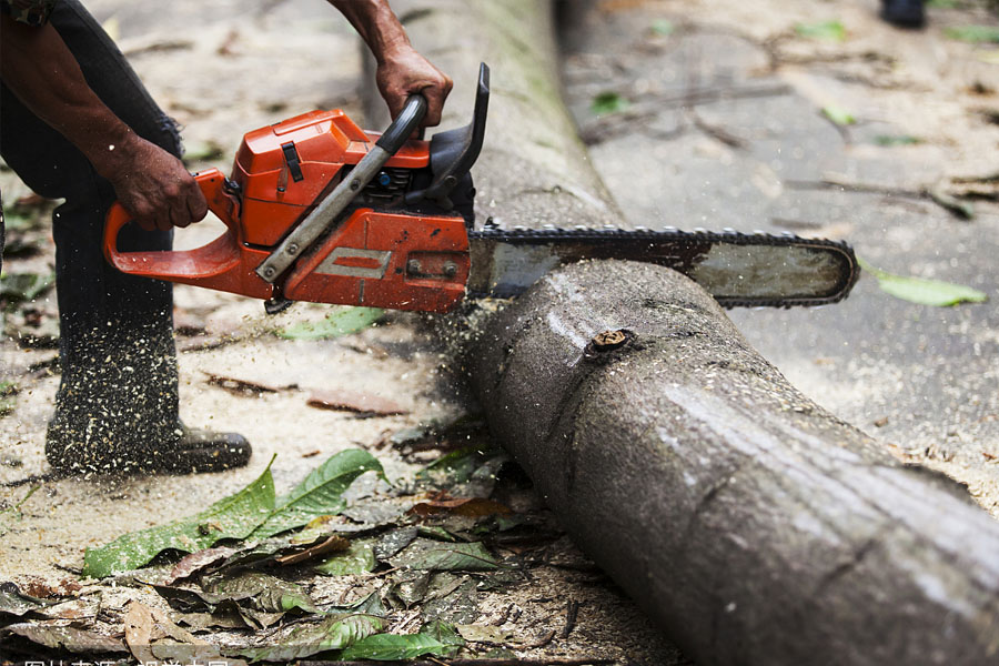 Zamagetsi Kupala matabwa Chida Chainsaw