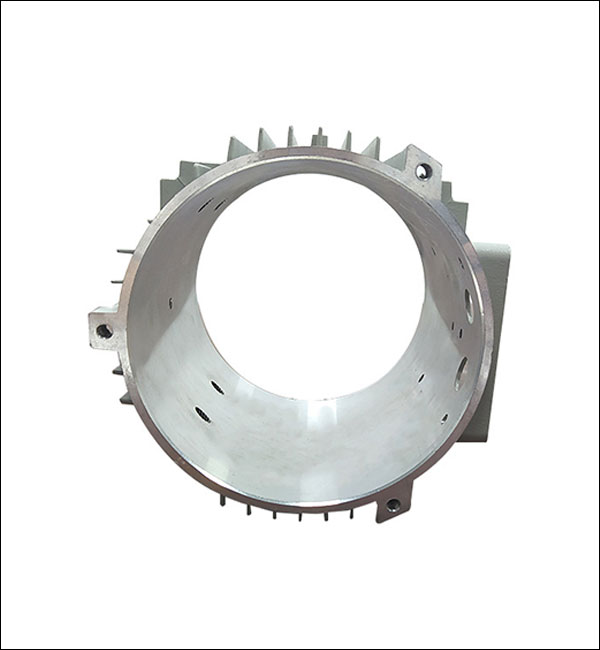 Thin Wall Die Casting Parts (10)